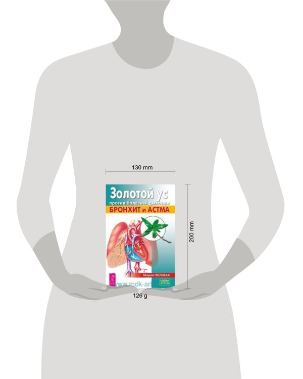 Золотой ус против болезней дыхания. Бронхит и астма