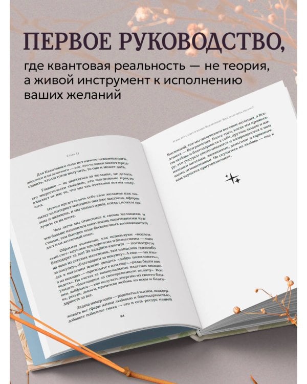 Можно все, или Как создавать желаемое. Квантовые практики достижения успеха
