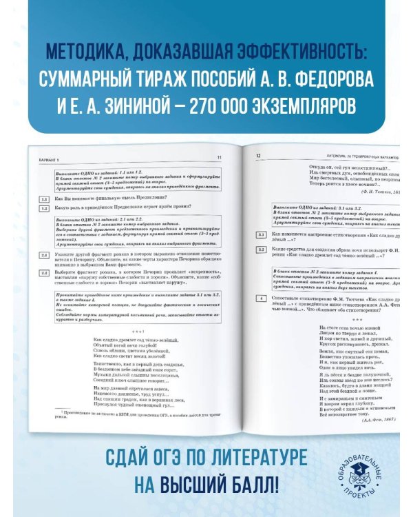 ОГЭ-2025. Литература.20 тренировочных вариантов экзаменационных работ для подготовки к основному государственному экзамену
