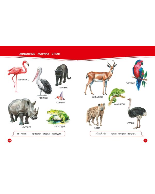 Книга для запуска и развития речи малыша