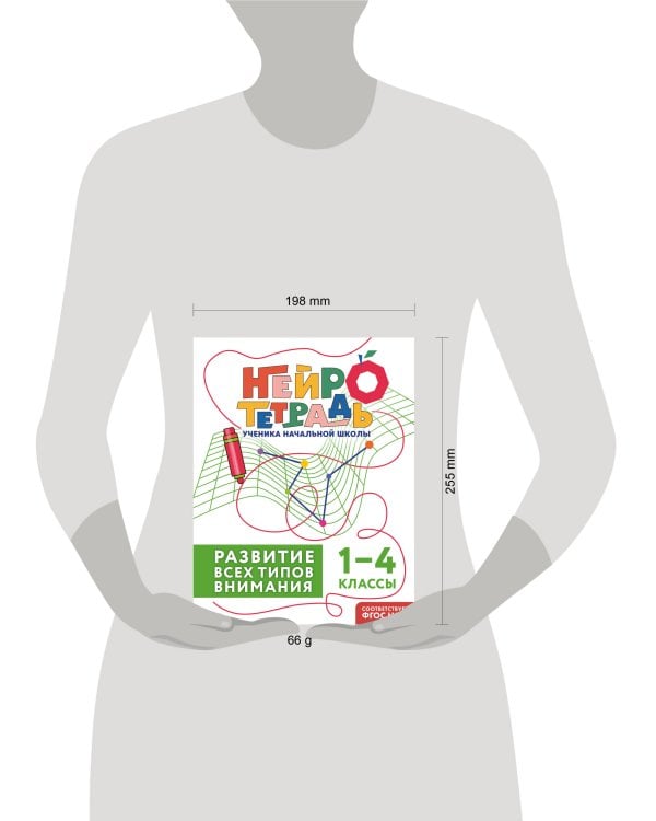 Развитие всех типов внимания. 1–4 классы