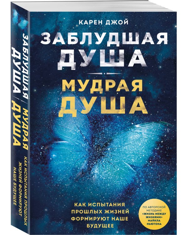 Заблудшая душа - мудрая душа. Как испытания прошлых жизней формируют наше будущее