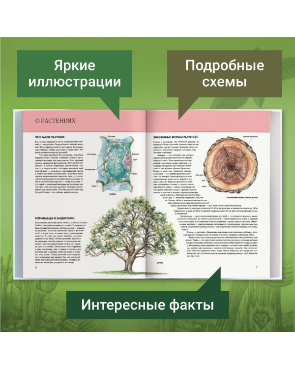 Растения. Полная энциклопедия