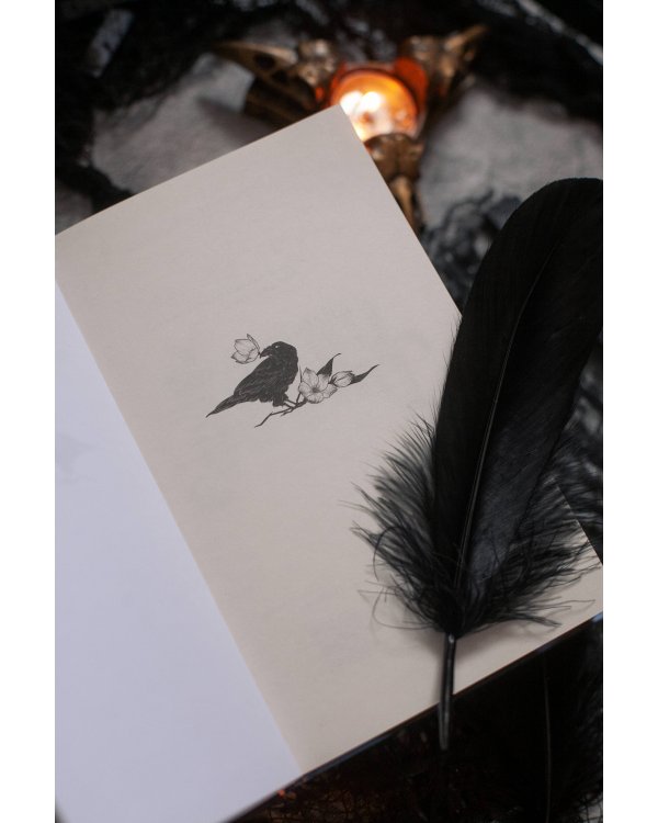 Хеску. Кровь Дома Базаард