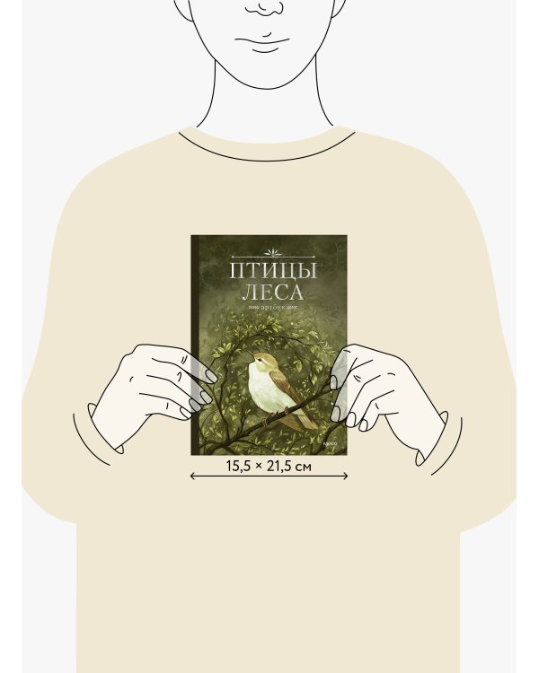 Птицы леса. Артбук