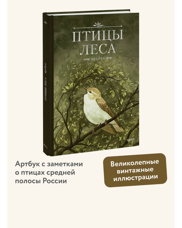 Птицы леса. Артбук