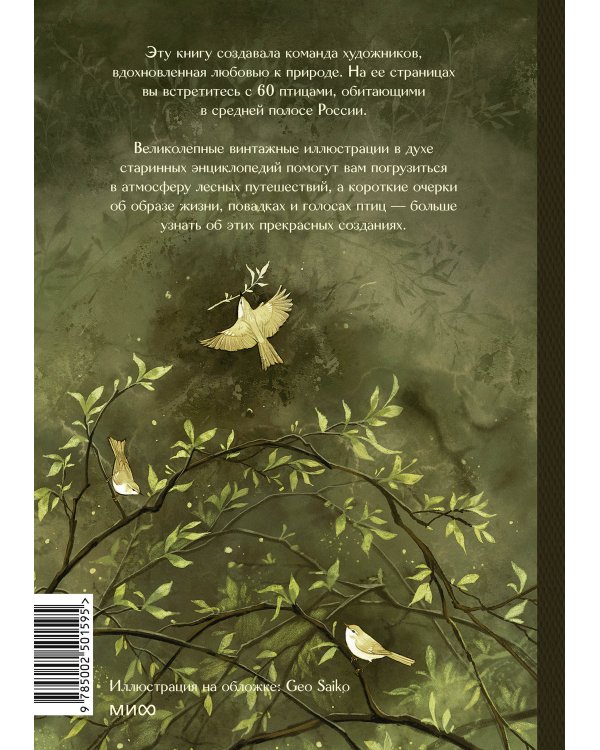 Птицы леса. Артбук