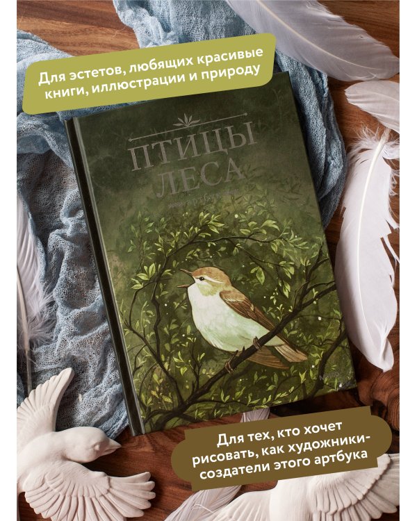 Птицы леса. Артбук