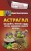 Астрагал. При диабете, болезнях сердца, печени, нарушениях нервной системы