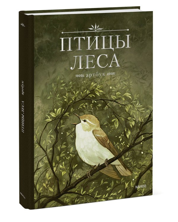 Птицы леса. Артбук