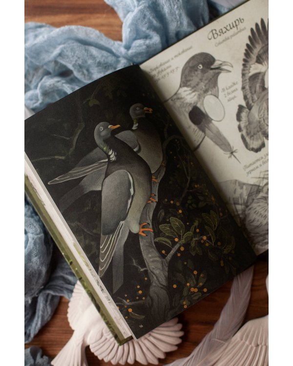 Птицы леса. Артбук
