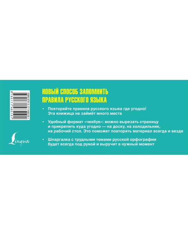 Русский язык: пишем без ошибок. Шпаргалка на все случаи жизни