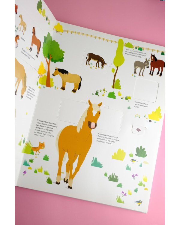 Что? Зачем? Почему? Лошади