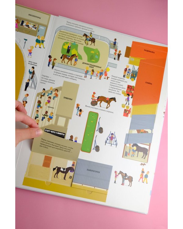 Что? Зачем? Почему? Лошади