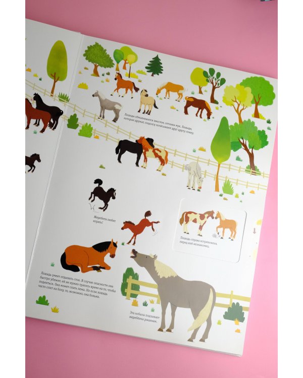 Что? Зачем? Почему? Лошади