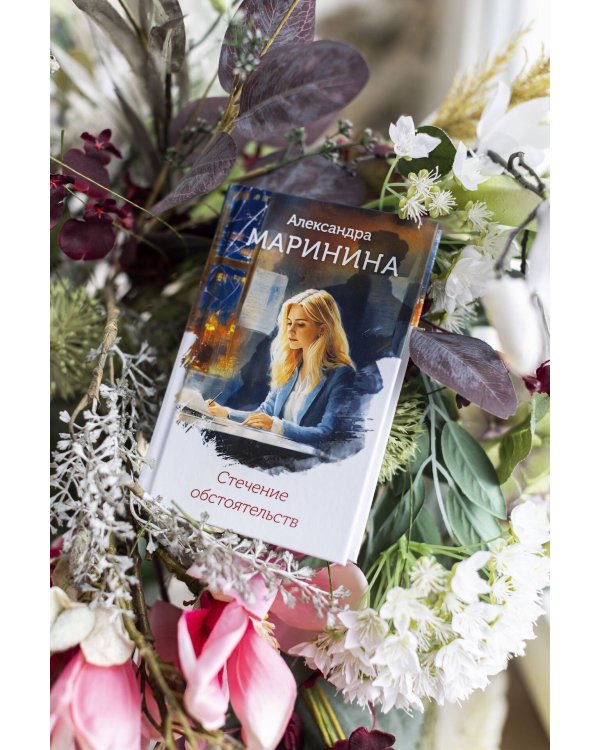 Стечение обстоятельств (формат клатчбук)