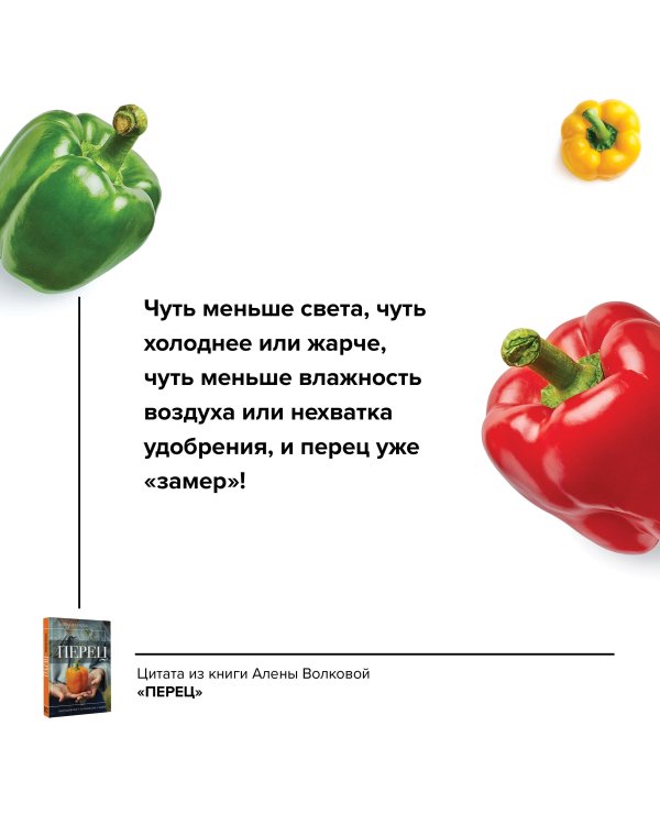 Перец. Выращиваем, ухаживаем и едим