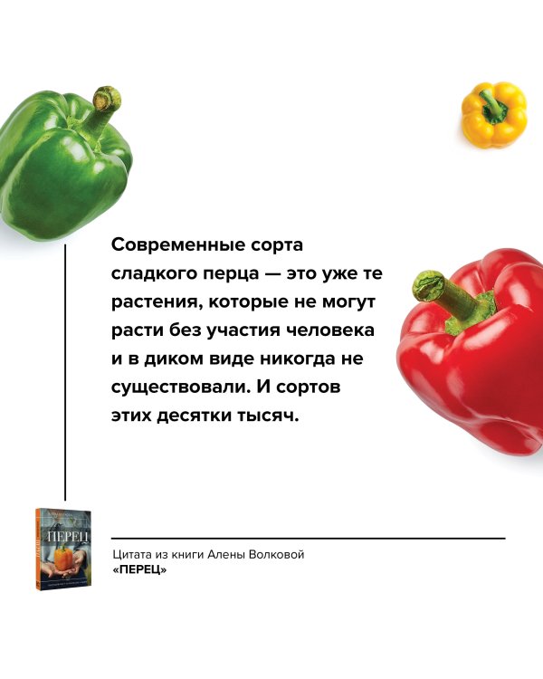 Перец. Выращиваем, ухаживаем и едим
