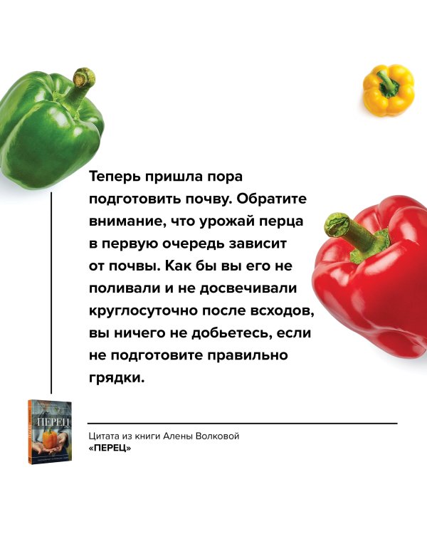 Перец. Выращиваем, ухаживаем и едим