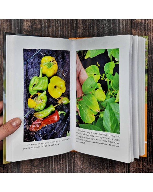 Перец. Выращиваем, ухаживаем и едим