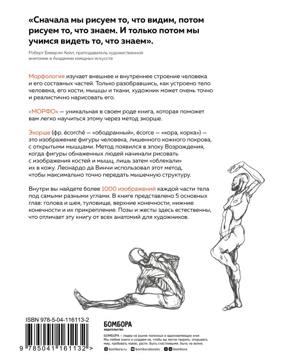 МОРФО. Анатомия для художников