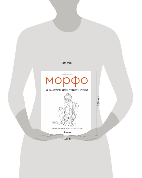 МОРФО. Анатомия для художников