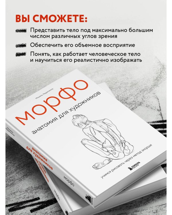 МОРФО. Анатомия для художников