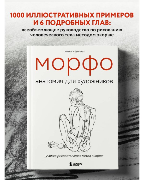 МОРФО. Анатомия для художников