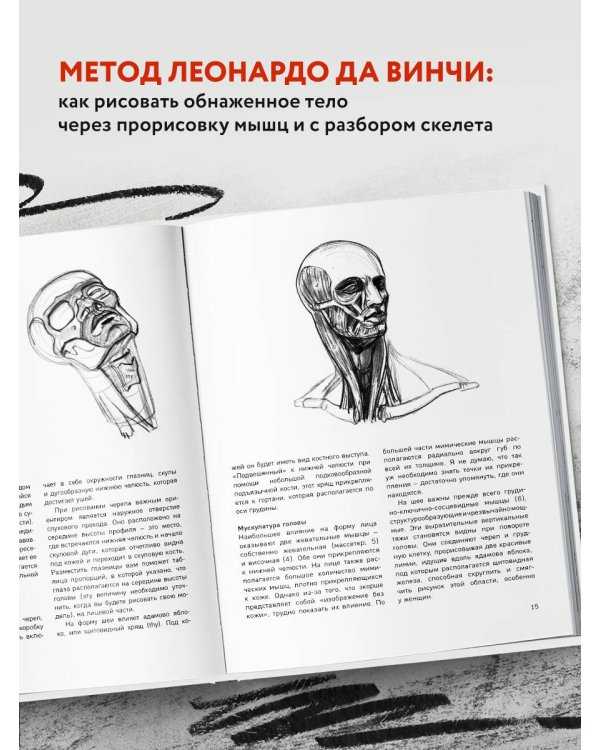 МОРФО. Анатомия для художников