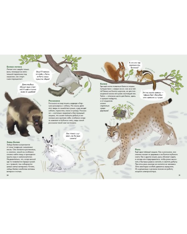 Животные России