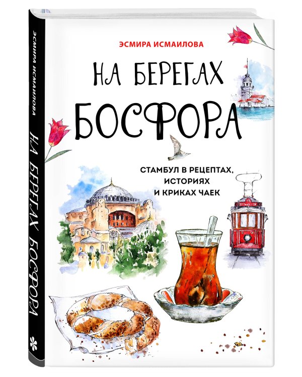 На берегах Босфора. Стамбул в рецептах, историях и криках чаек