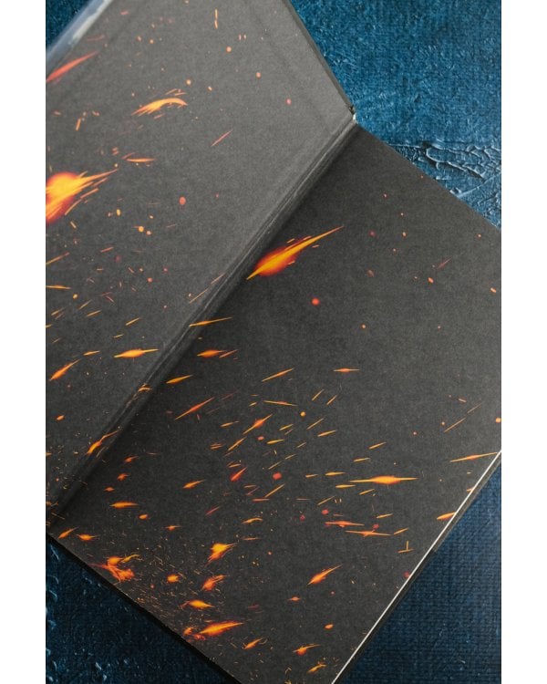 В пепел. Кадет