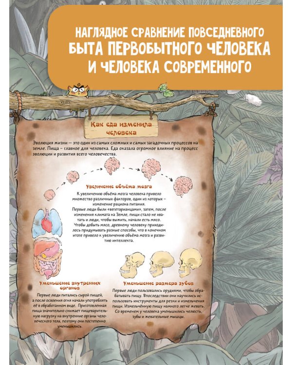 Как добывал еду первобытный человек