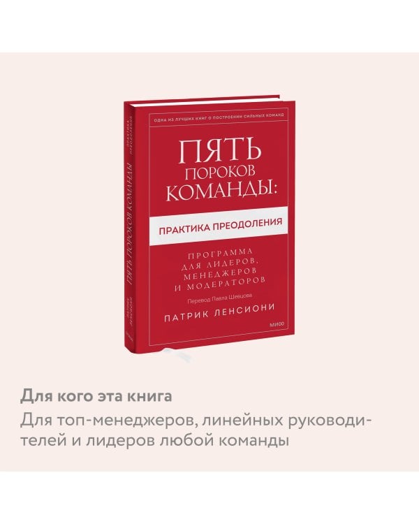 Пять пороков команды: практика преодоления. Программа для лидеров, менеджеров и модераторов.