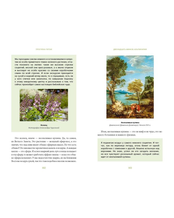 Зачарованный сад. Майское дерево, цветок папоротника и другие легенды о растениях