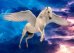 Алмаз мозаика (блест.) 30х40 см, с подр.,с полн.заполн.цв. Летающий крылатый жеребец.(Арт. AS34010)