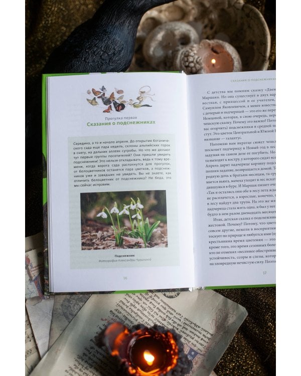 Зачарованный сад. Майское дерево, цветок папоротника и другие легенды о растениях