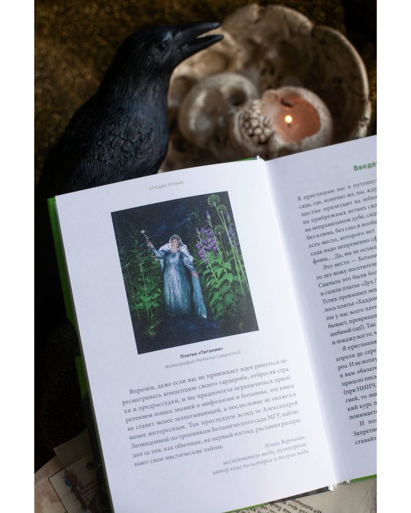 Зачарованный сад. Майское дерево, цветок папоротника и другие легенды о растениях