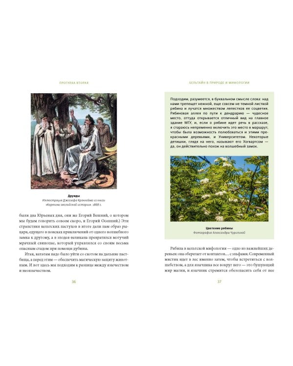 Зачарованный сад. Майское дерево, цветок папоротника и другие легенды о растениях