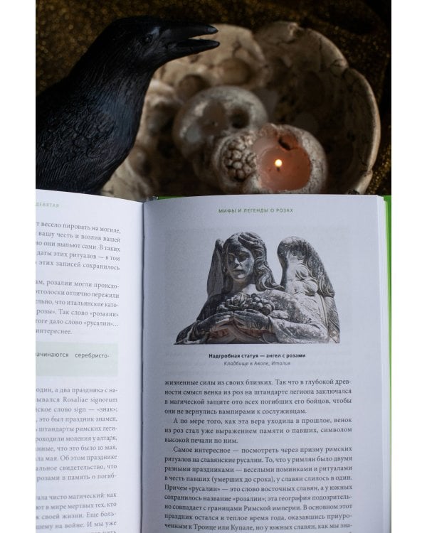 Зачарованный сад. Майское дерево, цветок папоротника и другие легенды о растениях