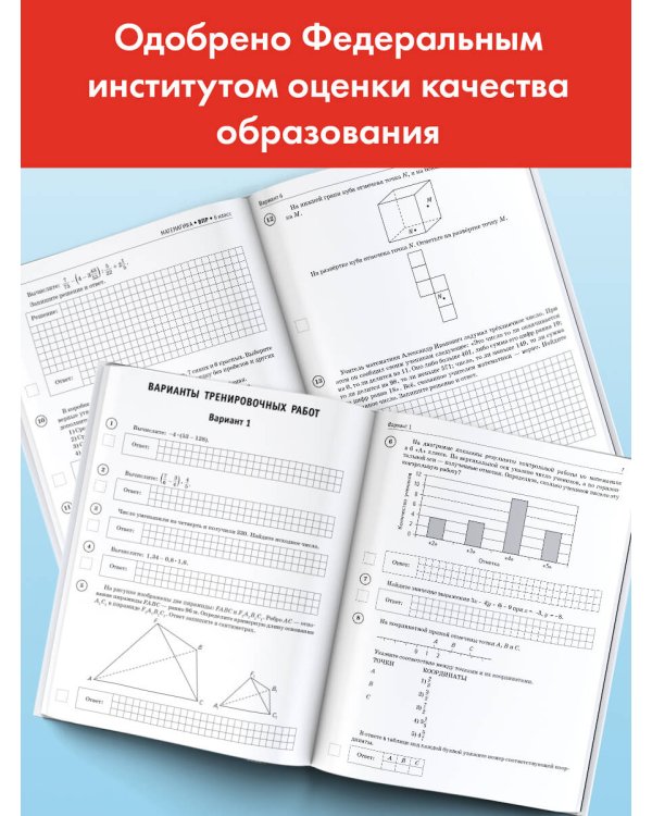 Математика. Большой сборник тренировочных вариантов проверочных работ для подготовки к ВПР. 6 класс