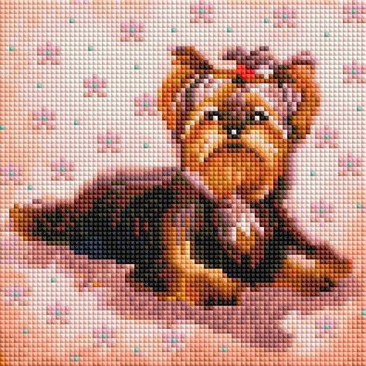 457-ST-PS Маленький Йорк