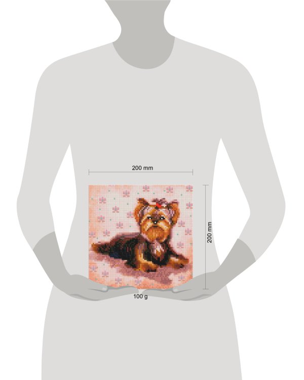 457-ST-PS Маленький Йорк