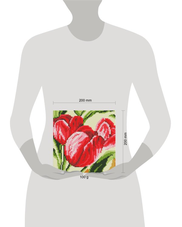 471-ST-PS Тюльпаны