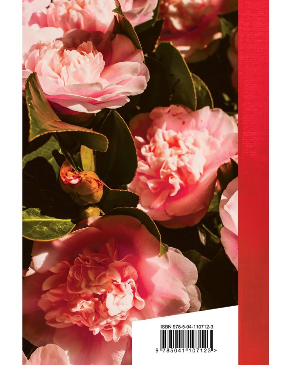 Танго утраченных грез