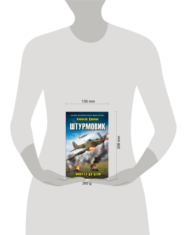 Штурмовик. Минута до цели