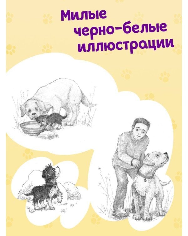 Щенок Лапочка, или Невероятное возвращение (выпуск 50)