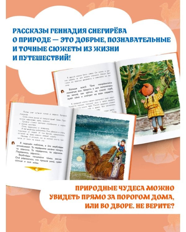 Верблюжья варежка