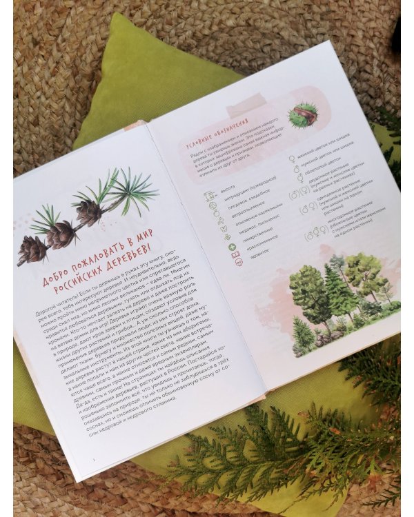 Деревья. Атлас-определитель