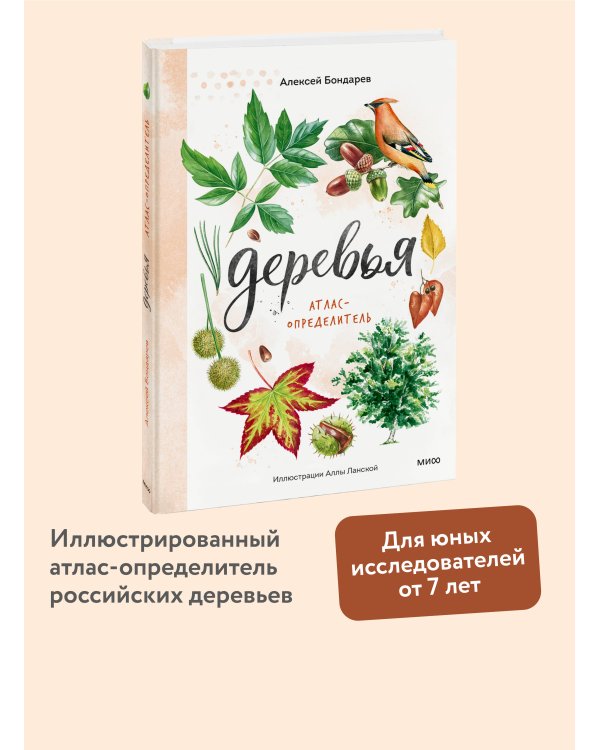 Деревья. Атлас-определитель